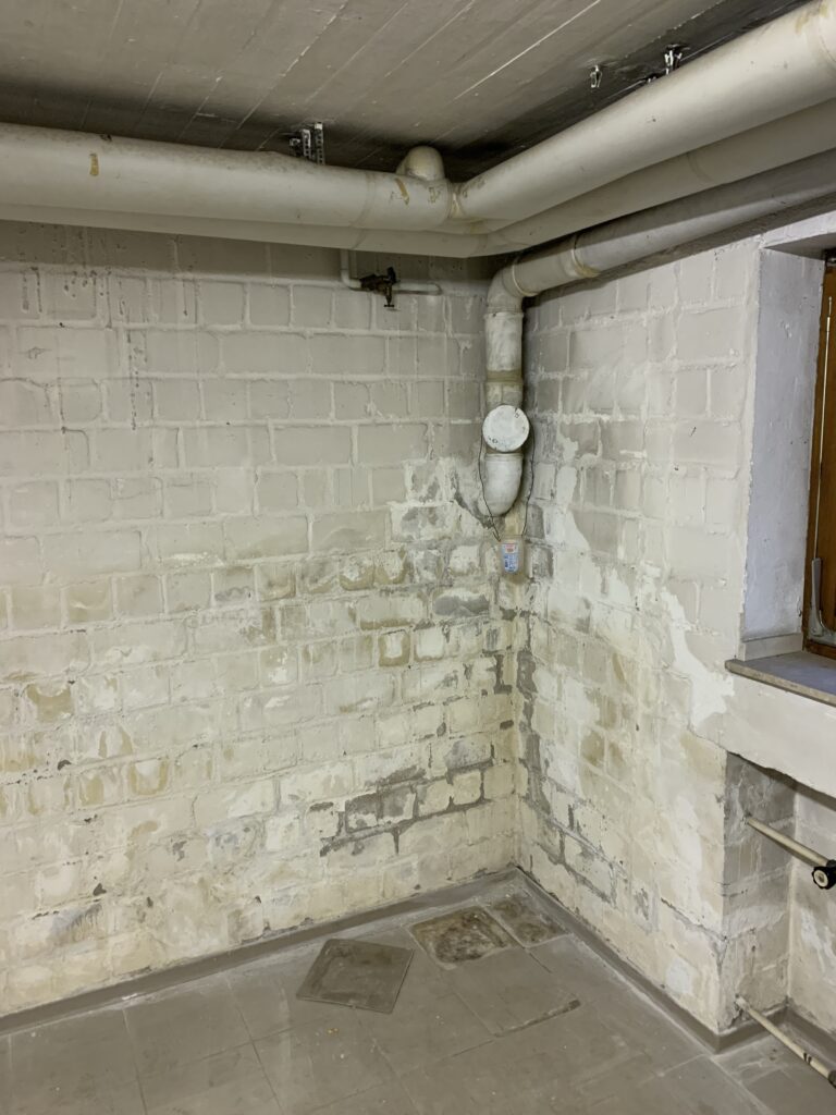 Kellerwand mit Feuchte und Schimmel Sanierungsbedarf in Köln Dünnwald